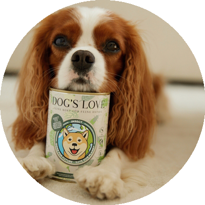 Il cane ha messo la testa e una zampa su una lattina di DOG'S LOVE Insect Chicken.